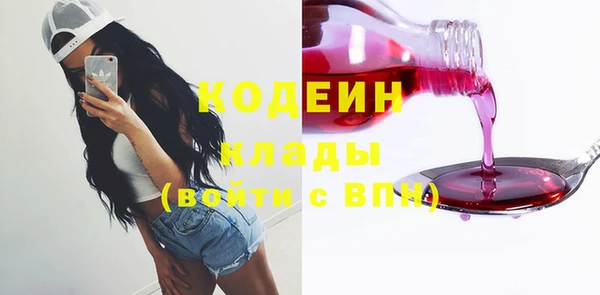 ПСИЛОЦИБИНОВЫЕ ГРИБЫ Верея