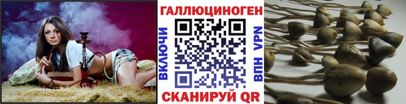 Псилоцибиновые грибы MAGIC MUSHROOMS  Волосово 